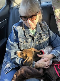 Me with my foxhound, Figgy, coming home from adopting her.