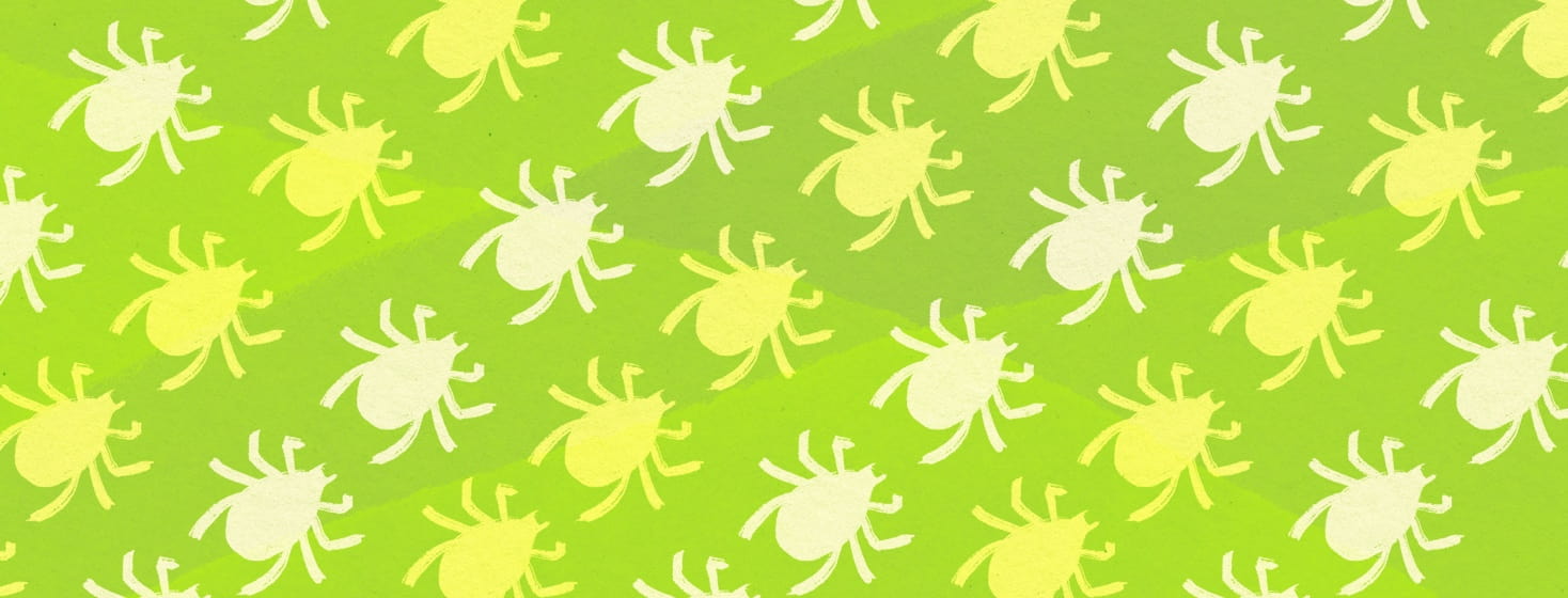 pattern of ticks