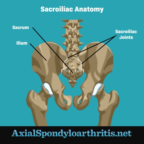 What Parts of the Body Does Axial Spondyloarthritis (axSpA) Affect?