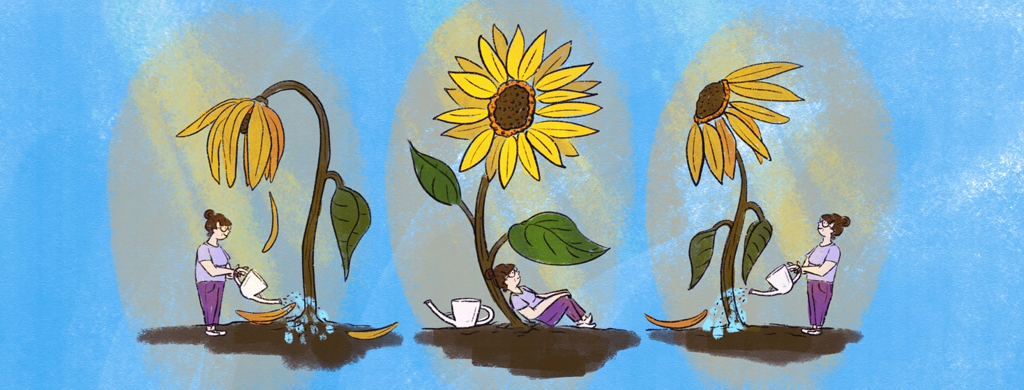 Wilting sunflower with a person water it next to a healthy sunflower with someone relaxing at its base