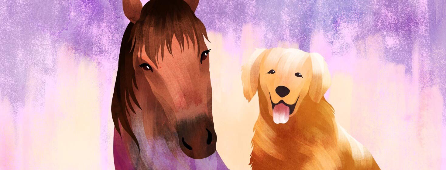 A horse and dog look happy and content together